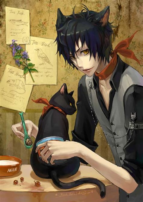 Black Cat Anime Cat Boy Anime Neko Nekomimi