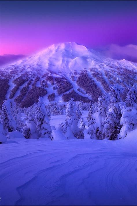 Orégon Purple Mountain Majesty Mountain Photography Shades Of Purple