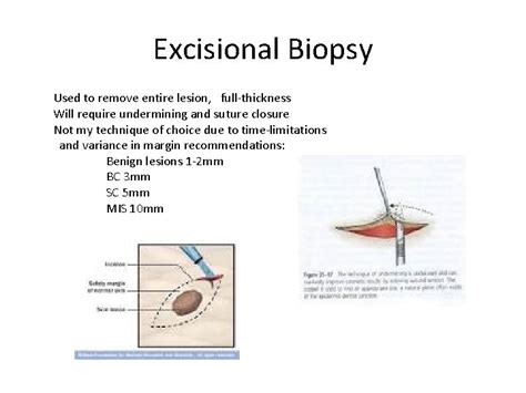Excisional Biopsy Of Lip Cpt