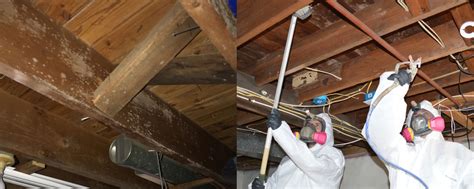 Mold grows in basements because of excess moisture or water. Basement Mold Removal NJ | Professional South Jersey Mold ...