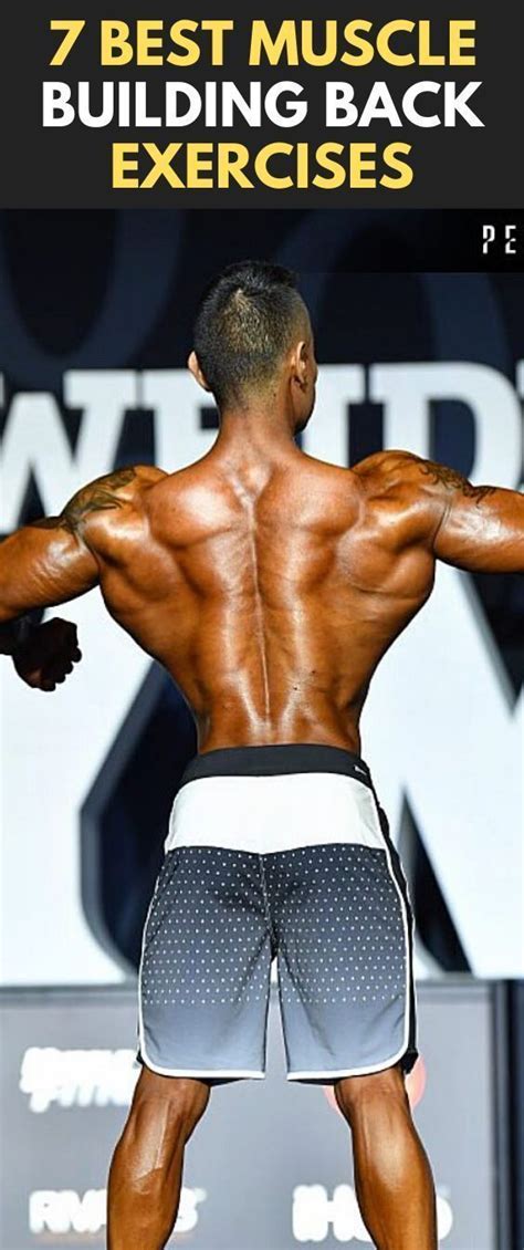 How To Build Back Muscle A Comprehensive Guide Rijals Blog