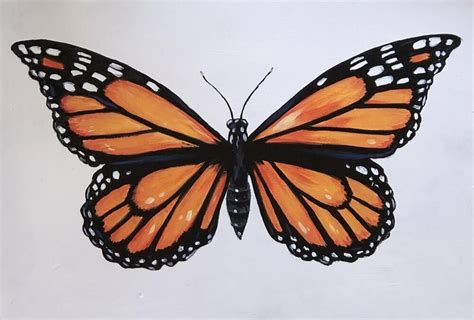 This Is How To Draw A Butterfly In 10 Steps Skillshare Blog Atelier