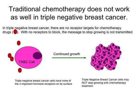 Read about the symptoms, how it is diagnosed and treated, and what happens some women with triple negative breast cancer also have a brca1 gene fault. Triple Negative Breast Cancer, "I Won't Back Down!": July 2013
