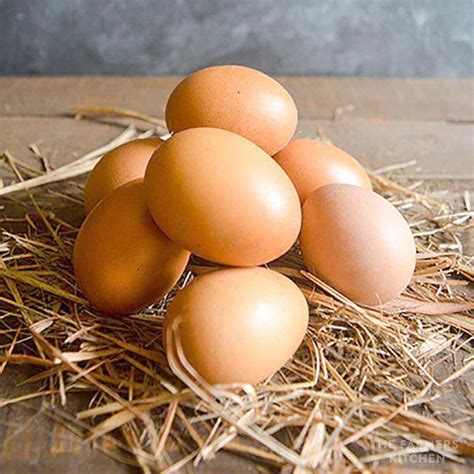 Organic Free Range Eggs Ganico Organic Estate