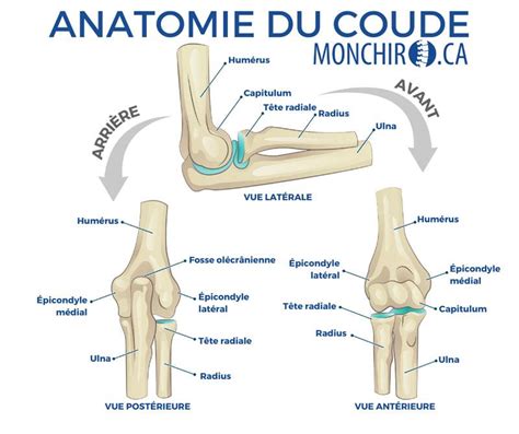 Douleurs au coude MonChiro ca Votre chiropraticien au Québec On s