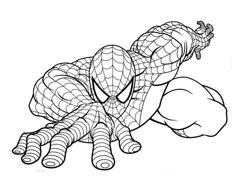 Spiderman Dibujos Para Colorear Dibujos Para Pintar Sexiz Pix