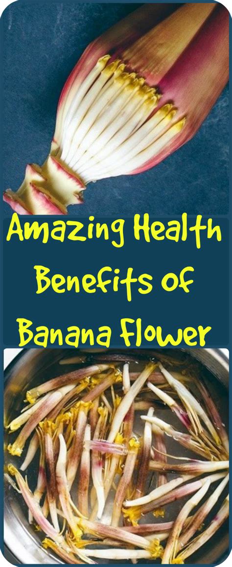 Amazing Health Benefits Of Banana Flower Banana Health Benefits Banana Flower Health