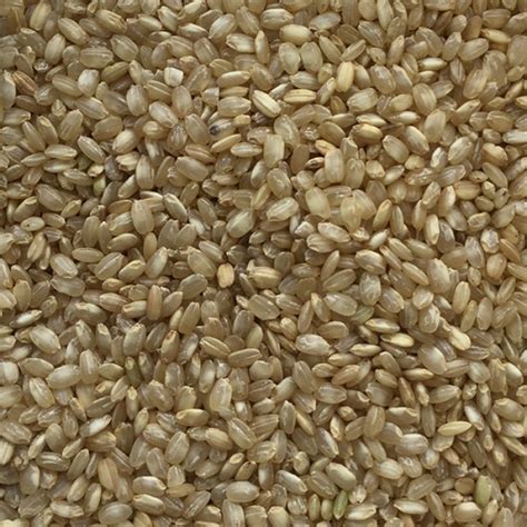 Organic Brown Rice Short Grain Italy Infinity Foods Wholesale