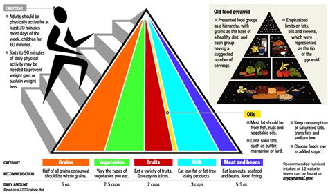 A Healthy Example Our Introduction To The New Food Pyramid Cleverly