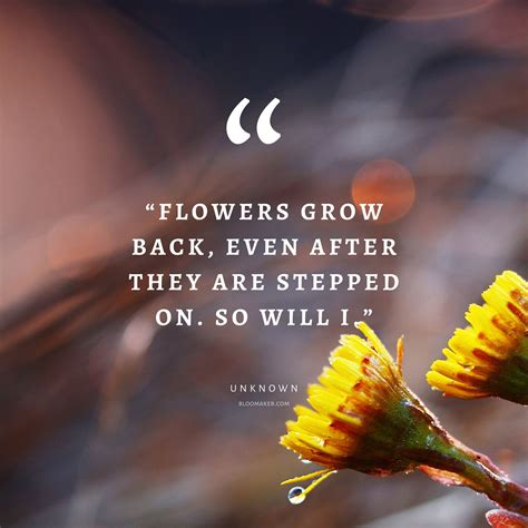55 Inspirational Flower Quotes Beautiful Motivational Sayings With