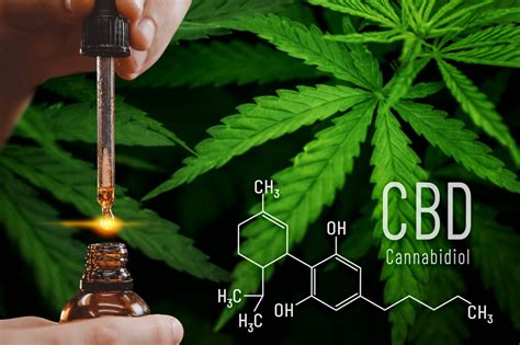 It is one of 113 identified cannabinoids in cannabis plants, along with tetrahydrocannabinol (thc). CBD: tudo sobre os benefícios medicinais do Canabidiol