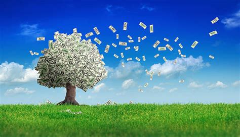 Browse 1,548 money plant stock photos and images available, or search for chinese money plant or money plant vector to find more great stock photos. Royalty Free Money Tree Pictures, Images and Stock Photos ...