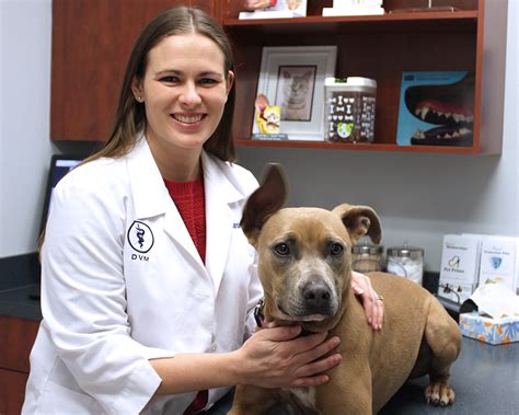 Center veterinary clinic wants to be the primary healthcare provider for your special friend throughout every stage of life. Veterinarian in Fishers,IN, 46037, 46038, Animal Clinic ...