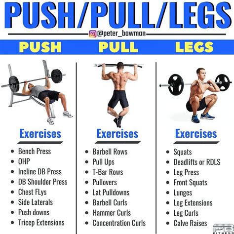 Push Pull Legs Weight Training Workout Schedule For Days GymGuider