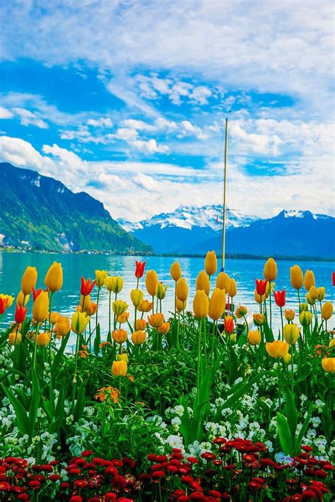 10 Things To Do In Montreux Switzerland Julias Album