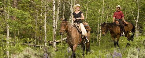 Horseback Riding In The Beautiful Wyoming Mountains