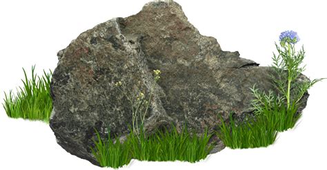 Rocks With Grass And Flower Png Transparent Background Free Download