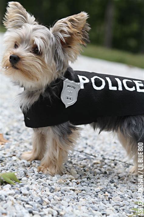 Diy Police Costume And K 9 Dog Halloween Costume