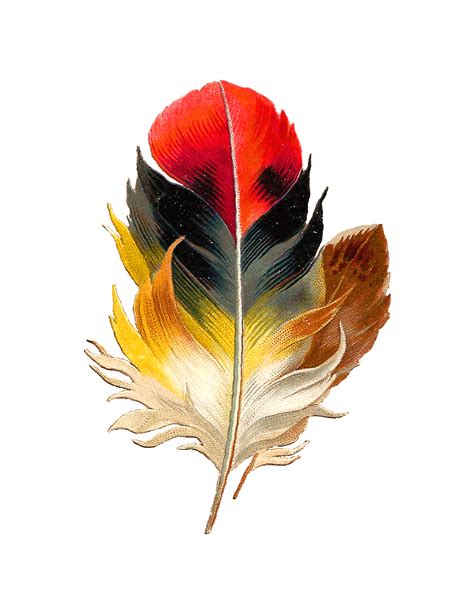 Antique Feather Clip Art: Beautiful, Multi-Colored Bird Feather Graphic | Feather clip art ...