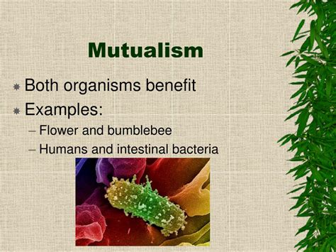 Ppt Interactions Among Organisms Powerpoint Presentation Free