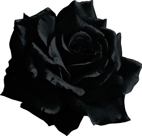 Black Rose Emoji