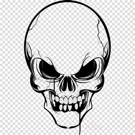 Skull Drawing Clipart Skull Illustration Graphics Transparent Clip Art