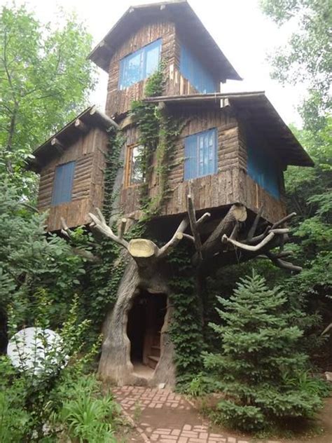Tree Trunk Entrance Tree House Cool Tree Houses Small House