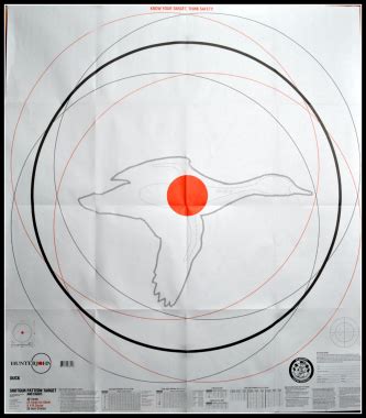 Winchester Pattern Target Duck Ballisticproducts Com