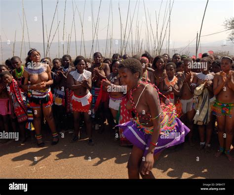 thousands zulu maidens participate in reed dance where girls after undergoing a virginity test