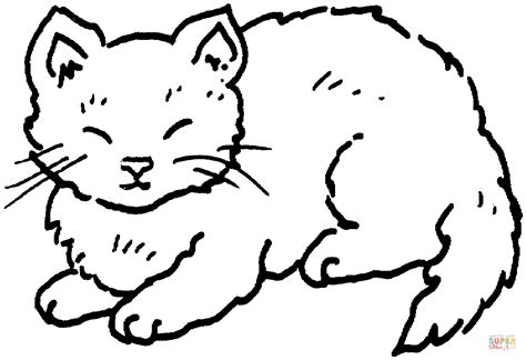 Ausmalbild Schlafende Katze Gratis Ausmalbilder Cat Coloring Page My