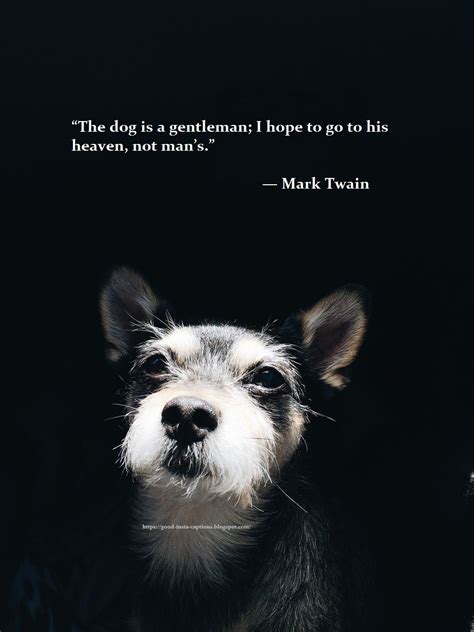 Funny Dog Quotes By Mark Twain Dog Instagram Captions Dog Quotes