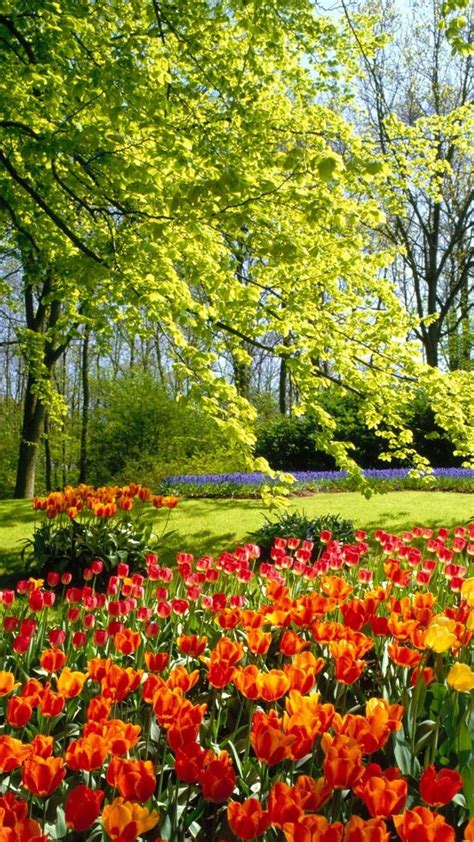 Free Download Beautiful Garden Wallpapers On Wallpaperplay 2560x1600