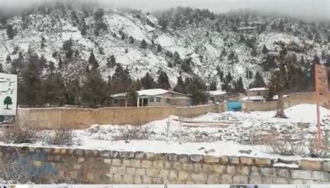 Ziarat Receives First Snowfall Of Winter •quetta Voice Breaking News