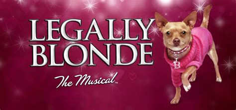 Legally Blonde The Musical Mti Australasia
