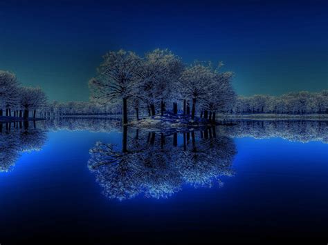 Winter Trees Reflection On Body Of Water Under Starry Sky During