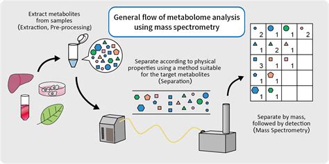 Metabolomics Human Metabolome Technologies