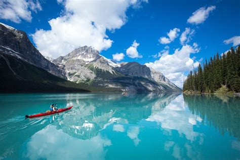 8 Scenic Photo Worthy Spots In Canada Wonder Forest