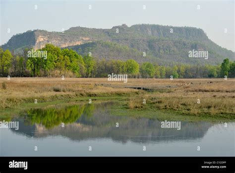 Bandhavgarh Escarpment Hi Res Stock Photography And Images Alamy
