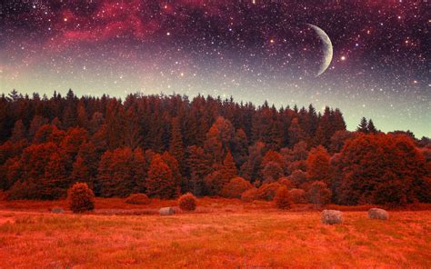 Earth Forest Red Stars Sky Moon Wallpaper 1920x1200 531190