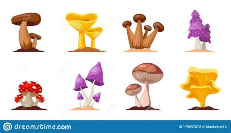 Colorful Forest Wild Collection Of Assorted Edible Mushrooms And