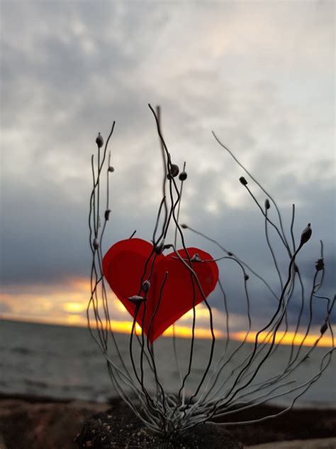 Heart Sunset Romantic Free Photo On Pixabay Pixabay