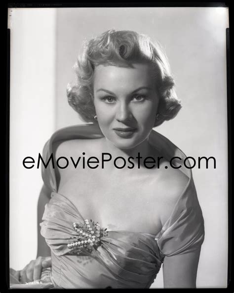 2s0351 Virginia Mayo Camera Original 8x10 Negative 1940s The Beautiful Actress