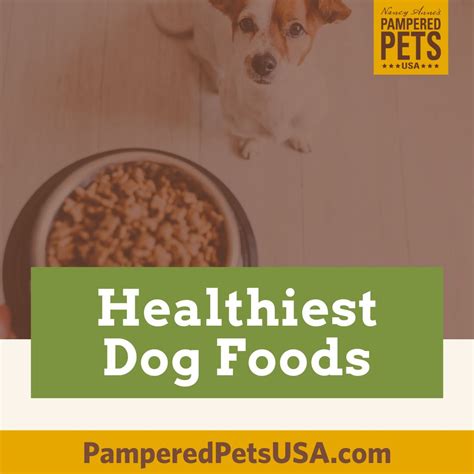 Healthiest Dog Foods And Best Dog Food 2022 Pampered Pets Usa