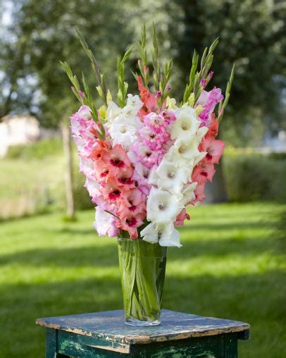 First of all, they obviously last longer. Long Lasting Flowers For Grave - crazyapeas