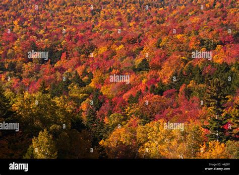New Hampshire Autumn Mount Washington Mount Washington Auto Road