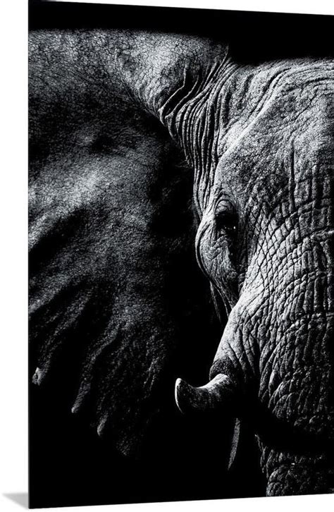Dark Elephant 2 Metal Wall Art Print Elephant Photography Animals