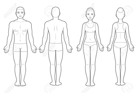 Female Body Diagram Blank Old Saybrook Public Schools