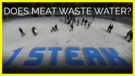 Does Meat Waste Water Youtube