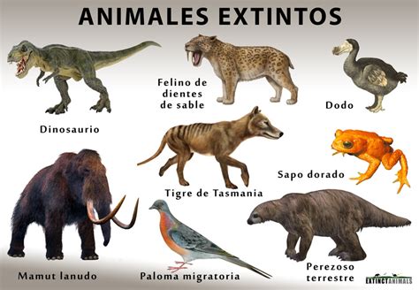 Animales Extintos Extinct Animals