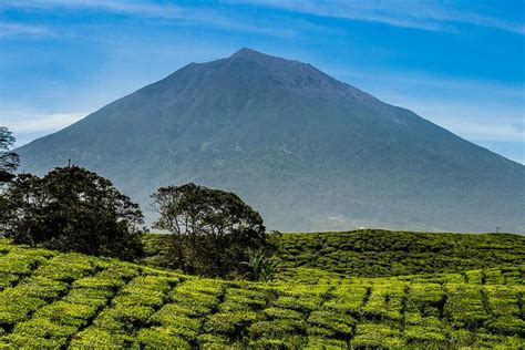 2021's top mountains in southeast asia include doi inthanon, mount phousi + mount kinabalu. Mount Kerinci is the highest mountain in Sumatra , the ...